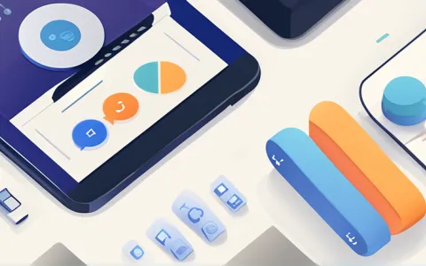 本地项目管理系统是什么