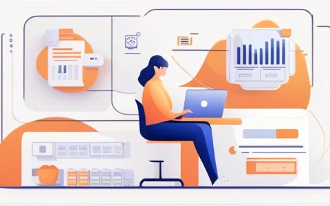 哪些财务软件对接税局