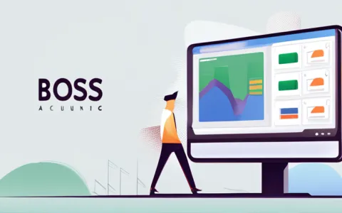 boss管账财务软件有哪些版本