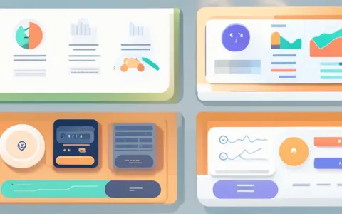 特殊的财务软件是什么