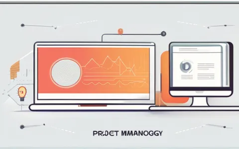 如何运作信息化项目管理