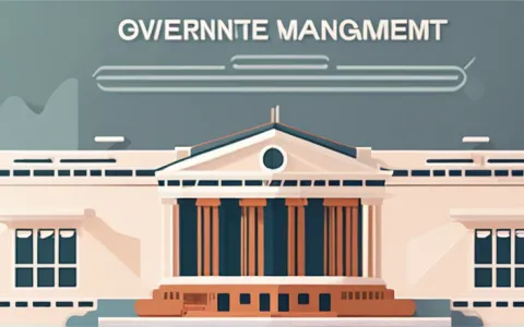 哪些是政府项目管理的内容